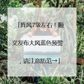 阵风7级左右！顺义发布大风蓝色预警，请注意防范→